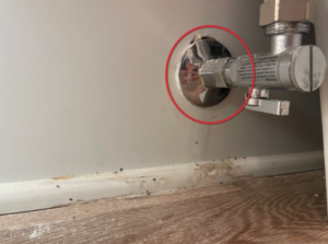Thermal Inspection during Rutherford County TN Home Inspection
